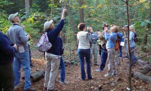 Atlanta Audubon birdwalk 