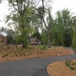 Preserved mature trees underplanted with new Piedmont Ridge Plantings in front of the Visitor Center.