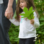 Tyke Hike_leaf