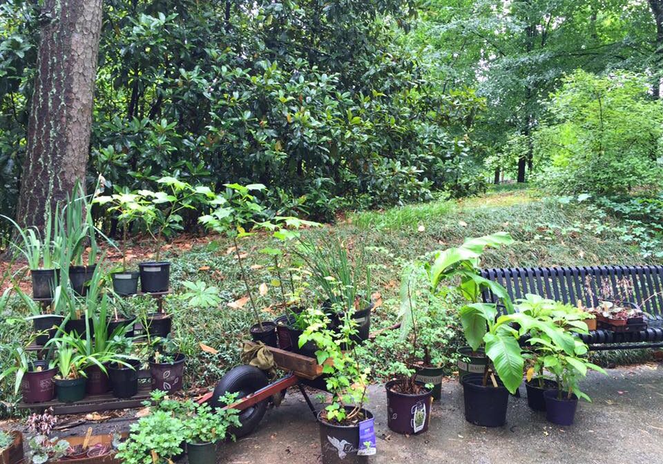 A successful Spring Plant Sale!