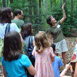 get-involved-at-woodlands